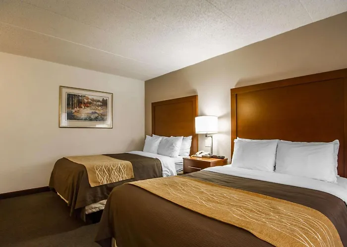 Comfort Inn & Suites Madison - Airport