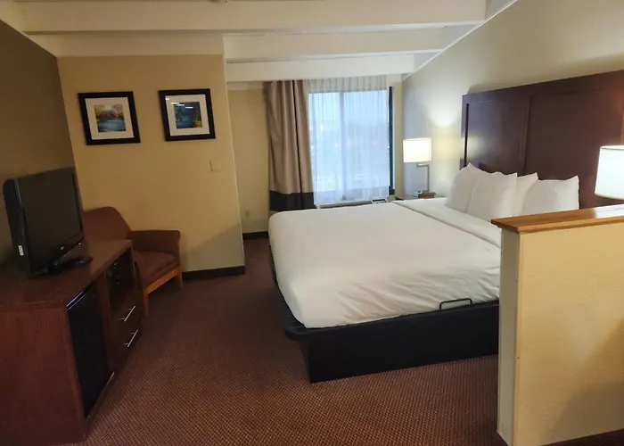 Comfort Inn & Suites Madison - Airport